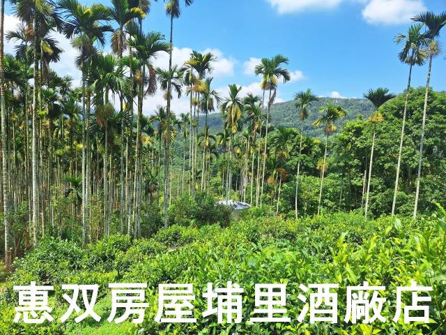 南投農地-4