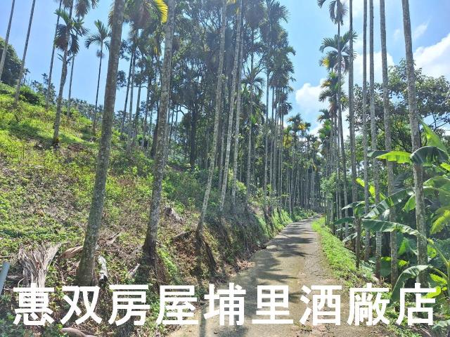 南投農地-5