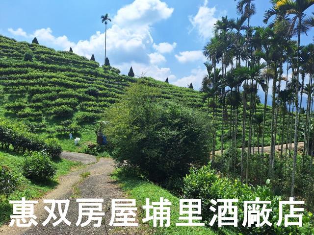 南投農地-6