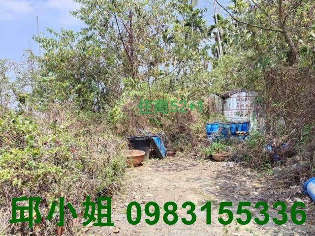 中埔農地-1