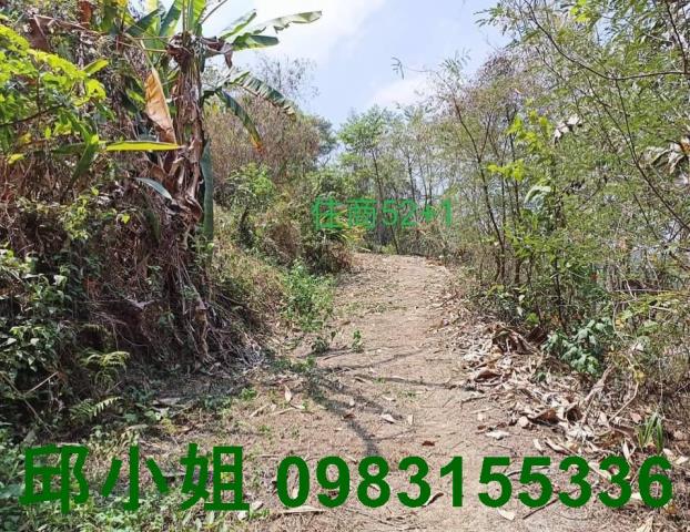 中埔農地-3