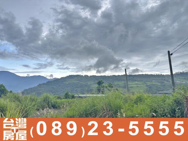 台東農地-4