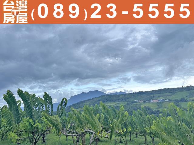 台東農地-8