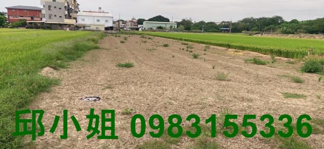 嘉義農地-0