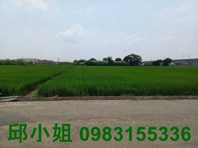 嘉義農地-0