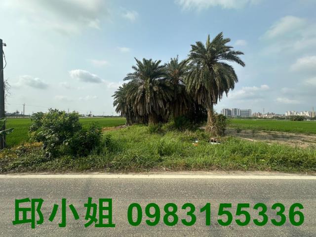 嘉義農地-0
