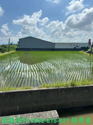 嘉義民雄農地-9