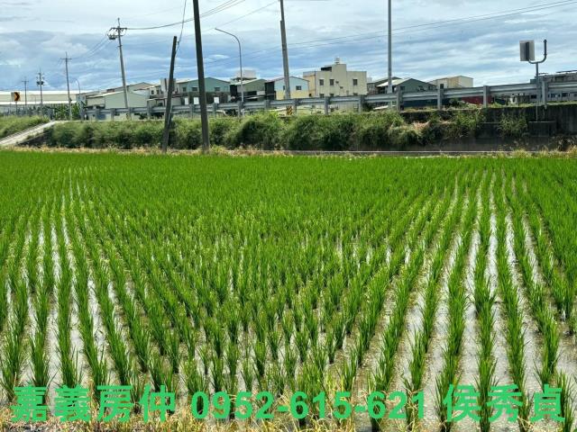 嘉義民雄農地-12