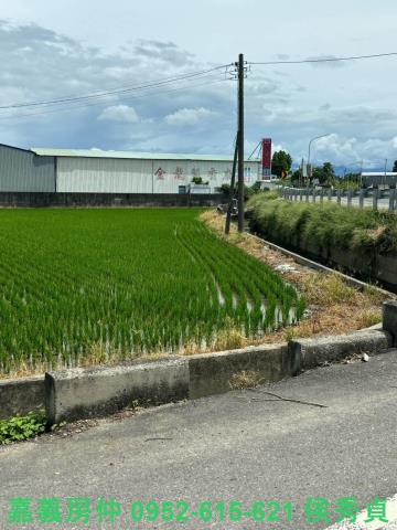 嘉義民雄農地-5