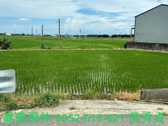 嘉義民雄農地-7