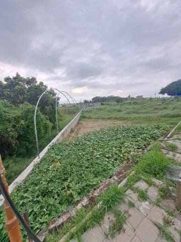嘉義農地-5