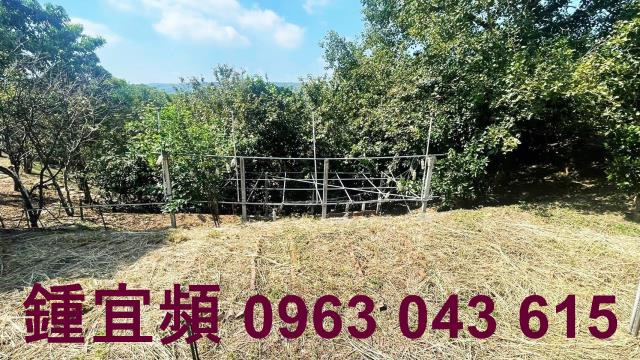 新竹農地-13
