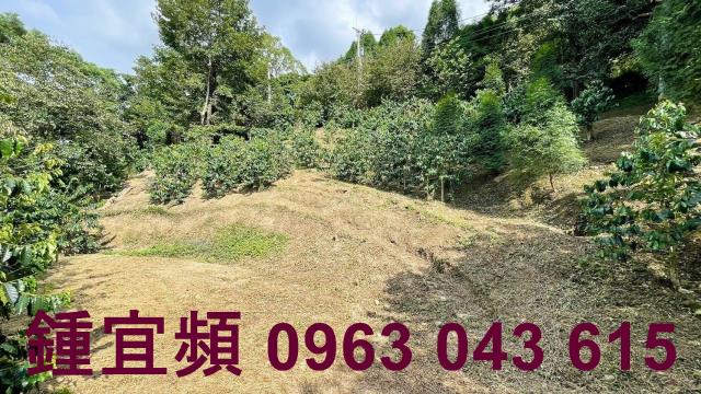 新竹橫山山坡地-10