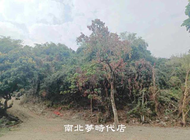 高雄六龜農地-4