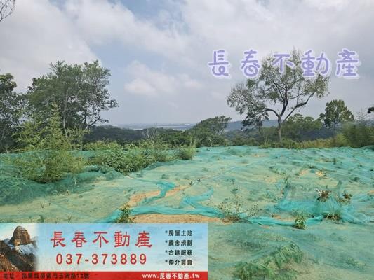 苗栗頭份農地-1