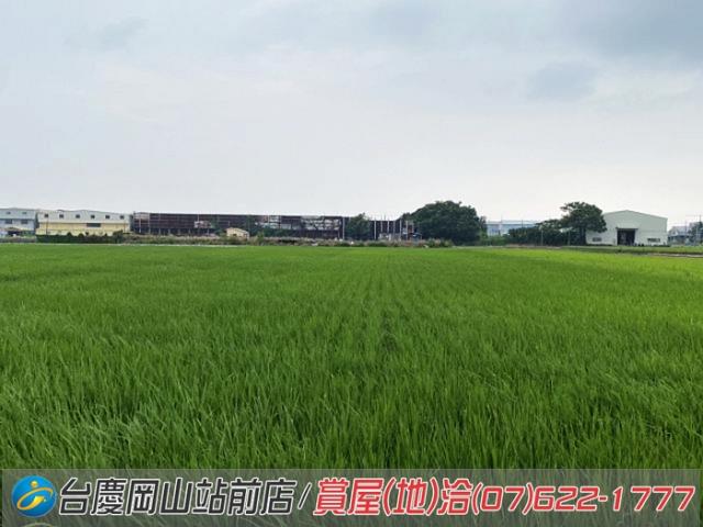 高雄橋頭農地-9