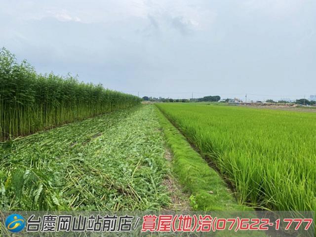高雄橋頭農地-13