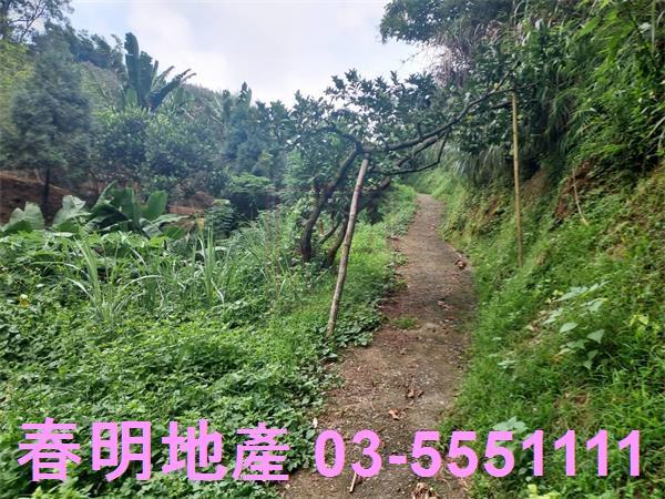 新竹芎林農地-9