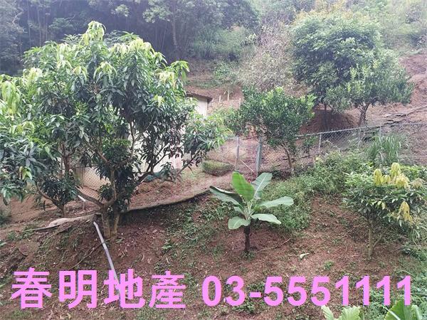新竹芎林農地-7