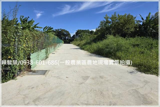 龍潭民生路一般農售