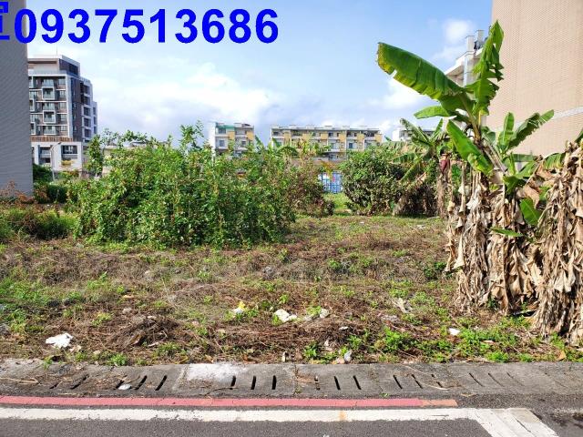 宜蘭建地-0