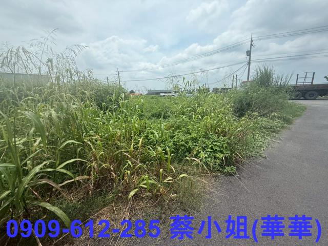 高雄大寮農地-0