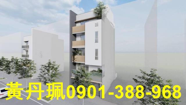 桃園大園建地-0