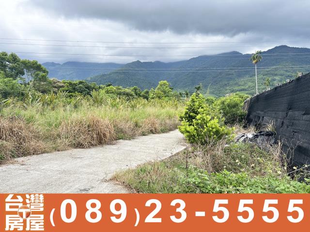 台東卑南農地-2