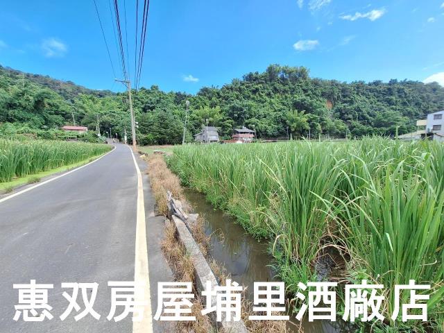 埔里農地-0