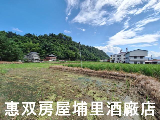 埔里農地-1
