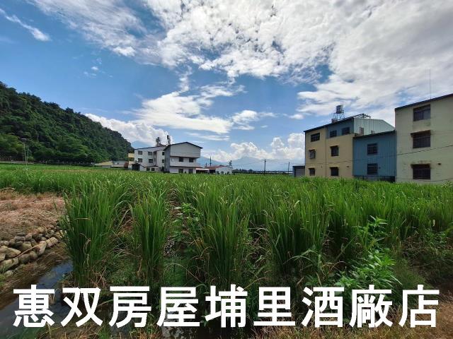 埔里農地-2