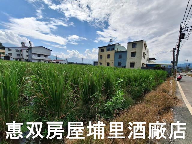 埔里農地-3