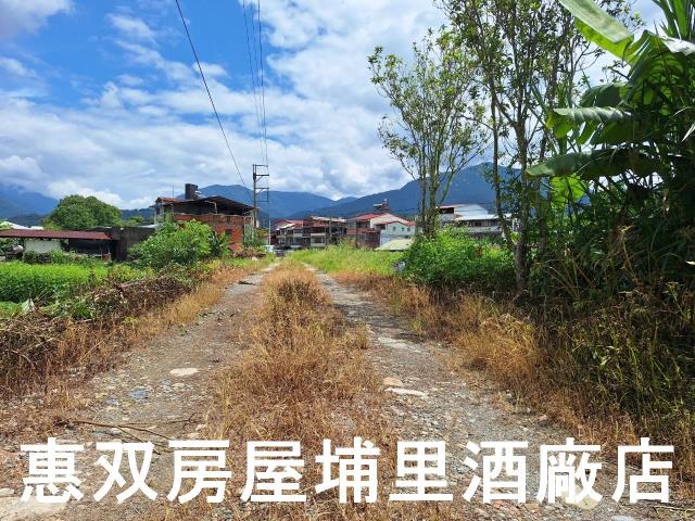 埔里農地-1