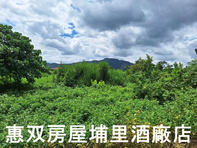 埔里農地-2