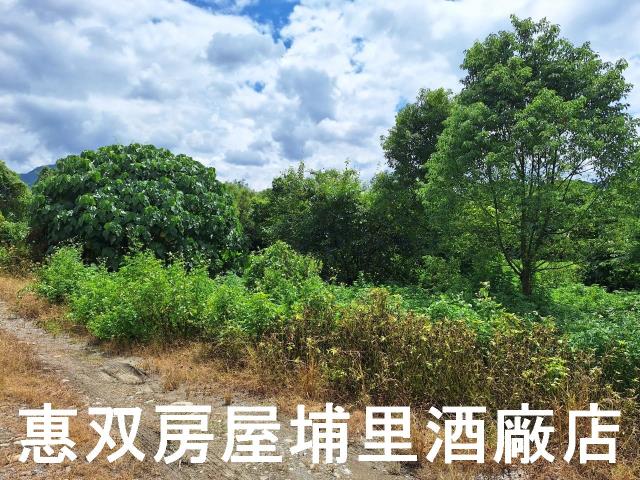 埔里農地-3