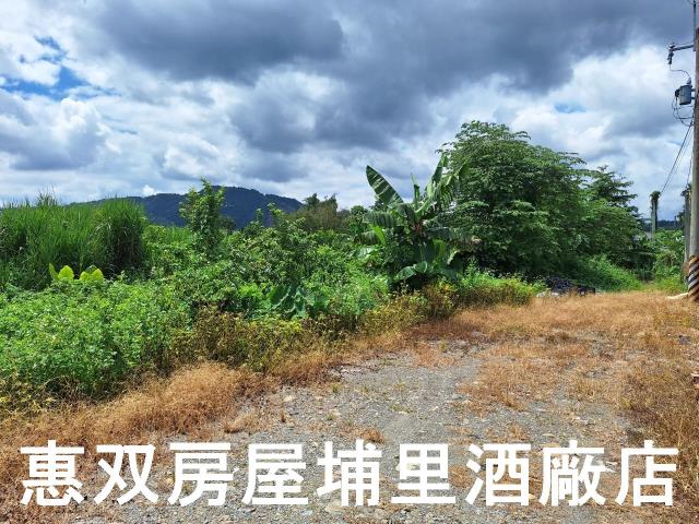 埔里農地-4
