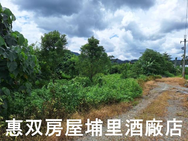 埔里農地-5