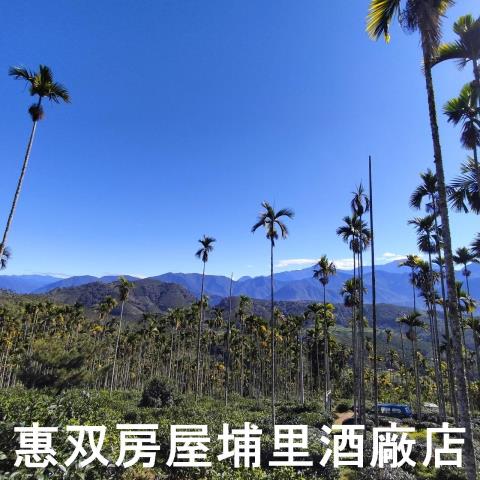 魚池農地-9