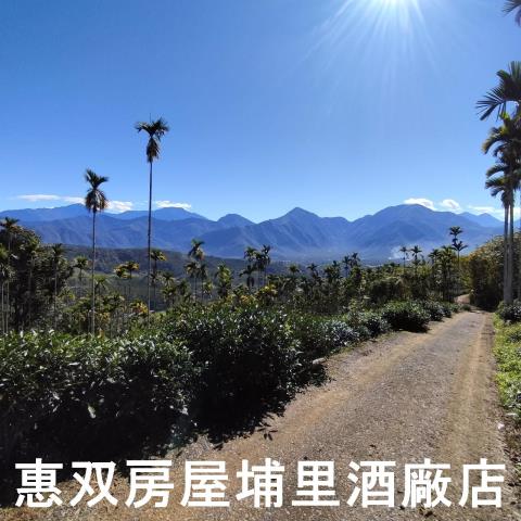 魚池農地-1
