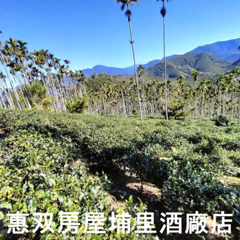 魚池農地-2