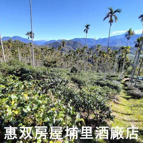 魚池農地-4
