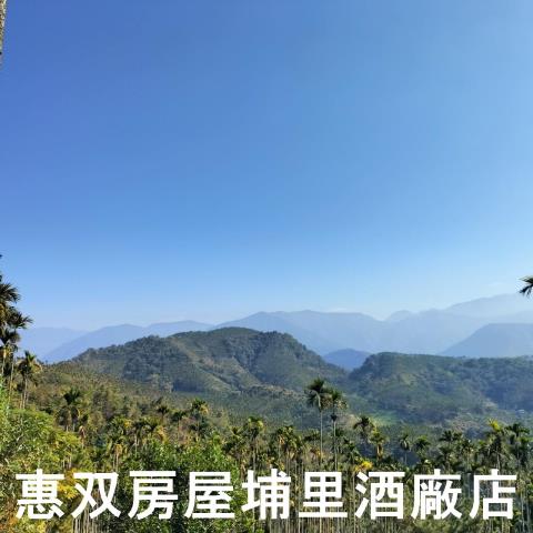 魚池農地-8