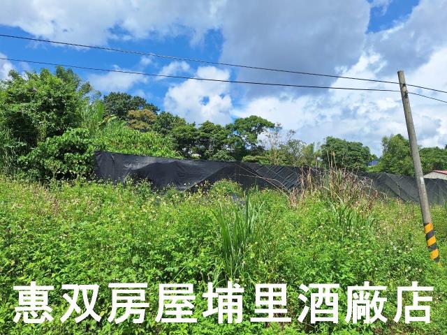 埔里農地-1