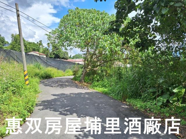 埔里農地-2