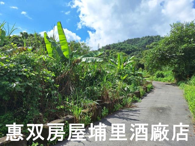埔里農地-3