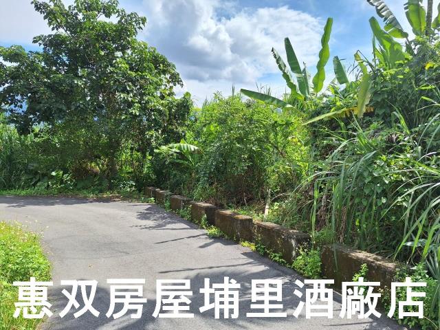 埔里農地-4