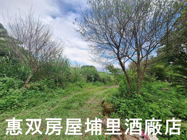 埔里農地-10