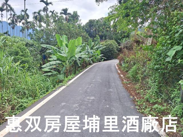 埔里農地-0