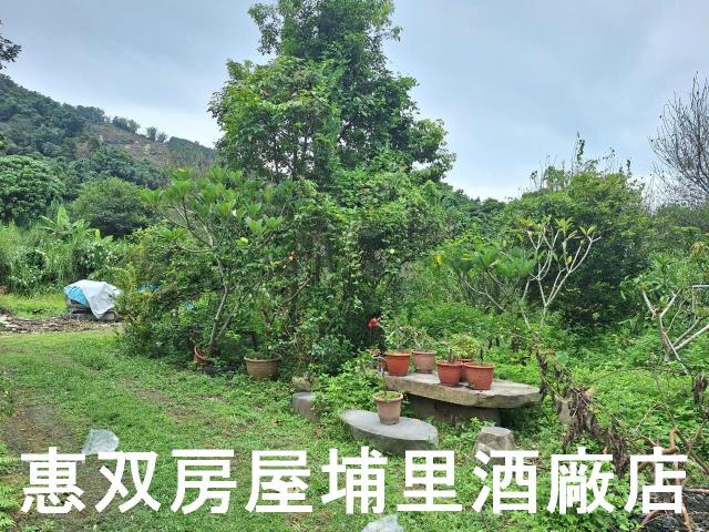 埔里農地-1