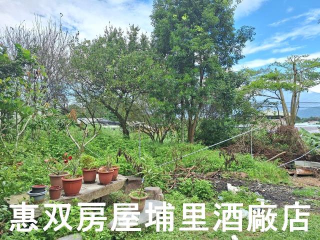 埔里農地-2